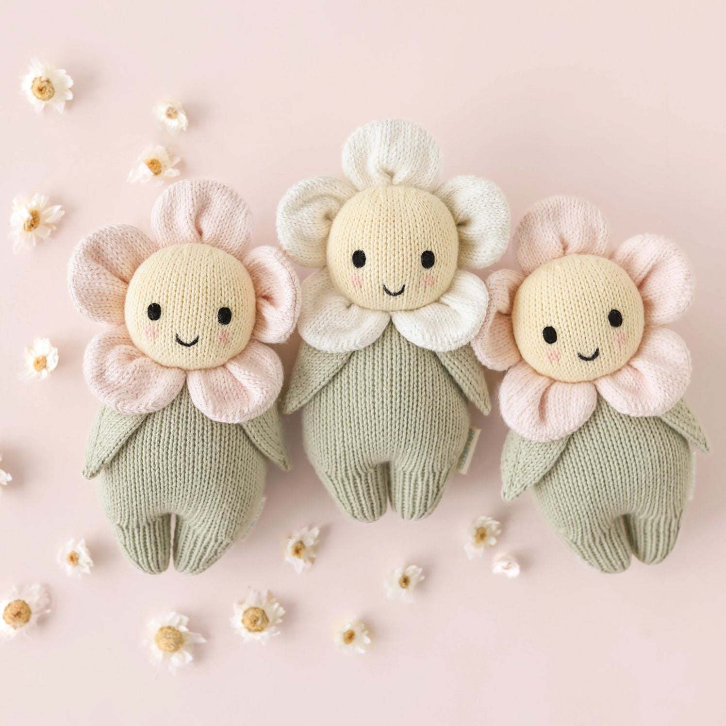 Baby Daisy (ivory)