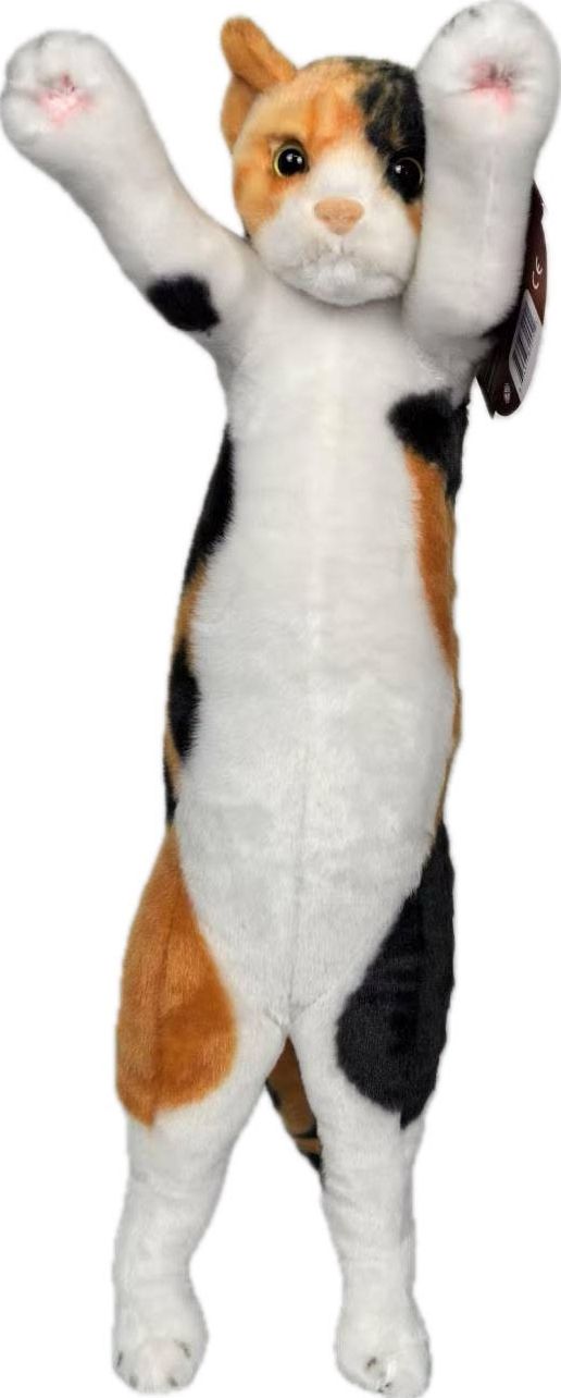 CRAZY KITTEN MEDIUM STANDING CAT
