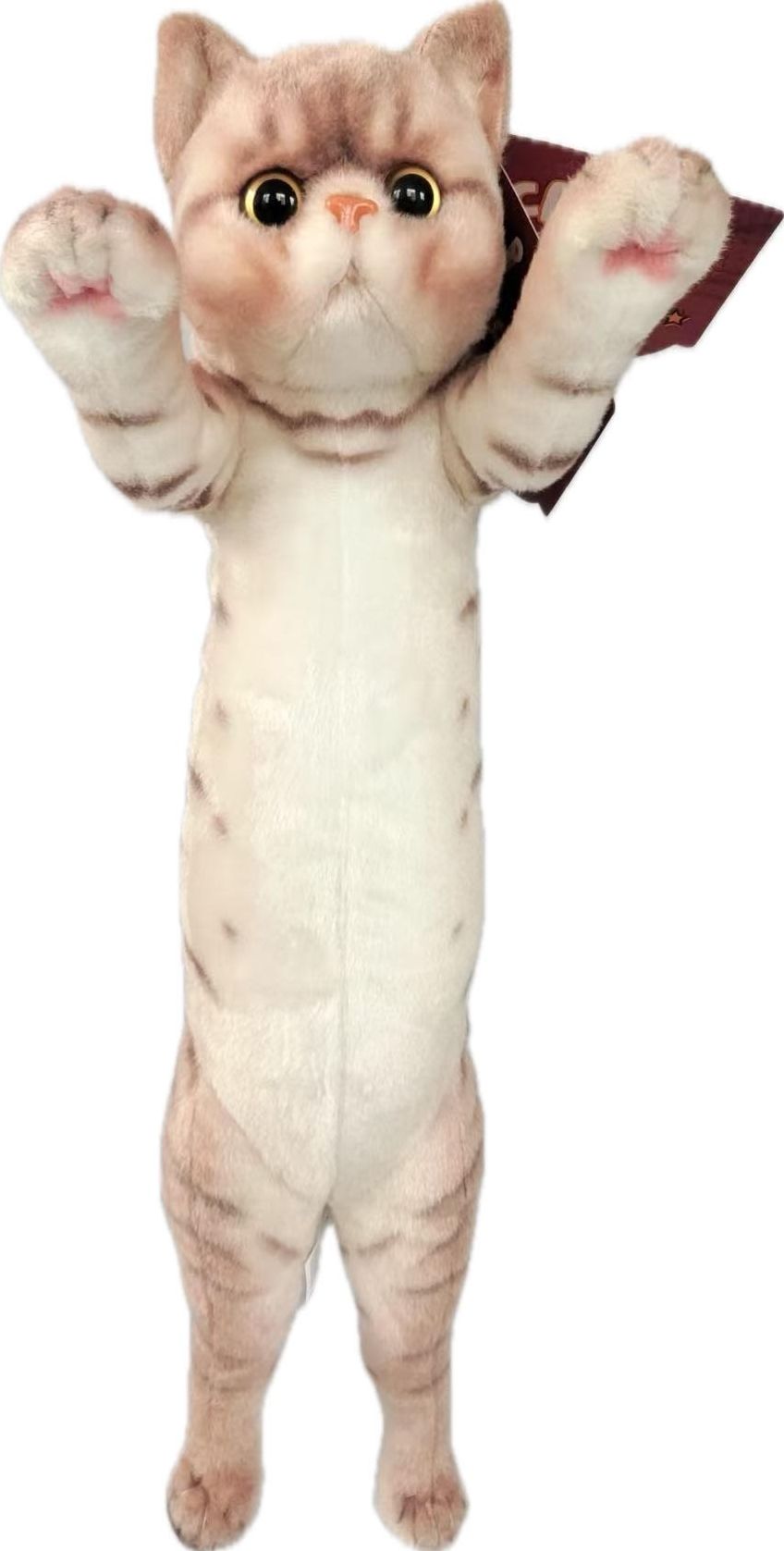 CRAZY KITTEN MEDIUM STANDING CAT