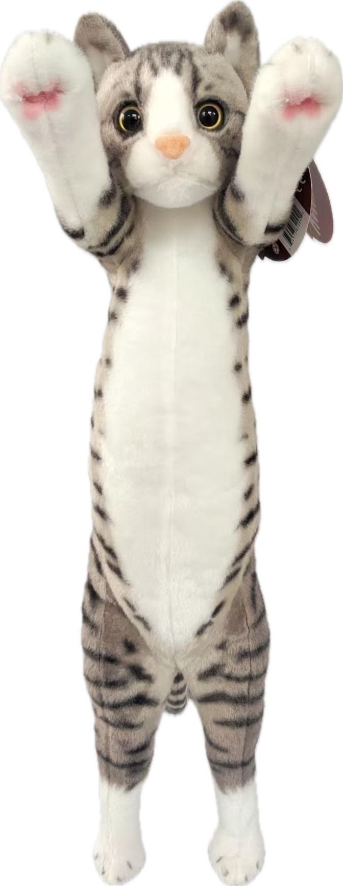 CRAZY KITTEN MEDIUM STANDING CAT