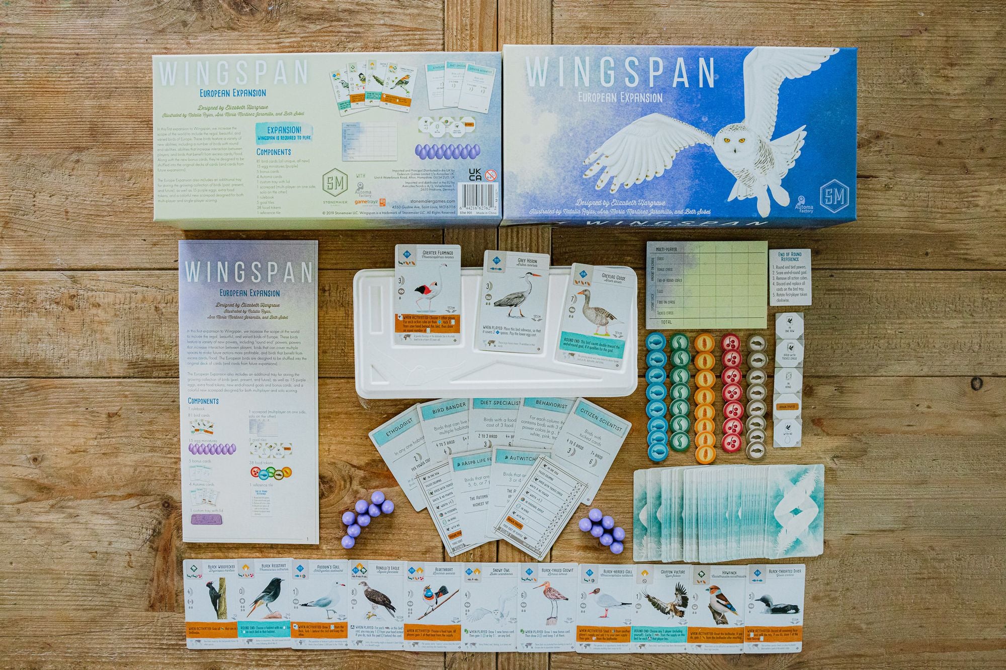 Wingspan: European Expansion by Elizabeth Hargrave