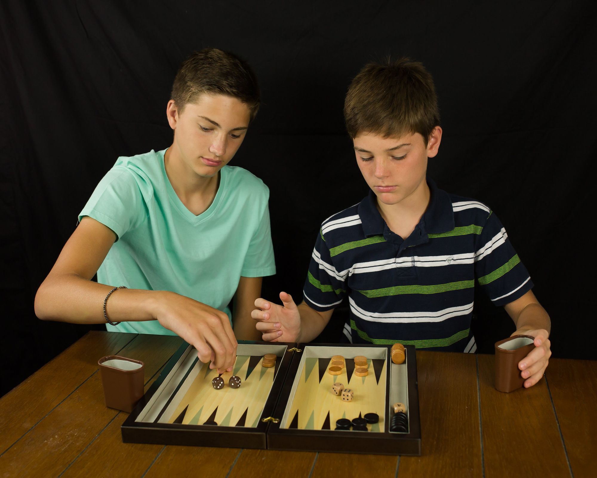Premier Backgammon