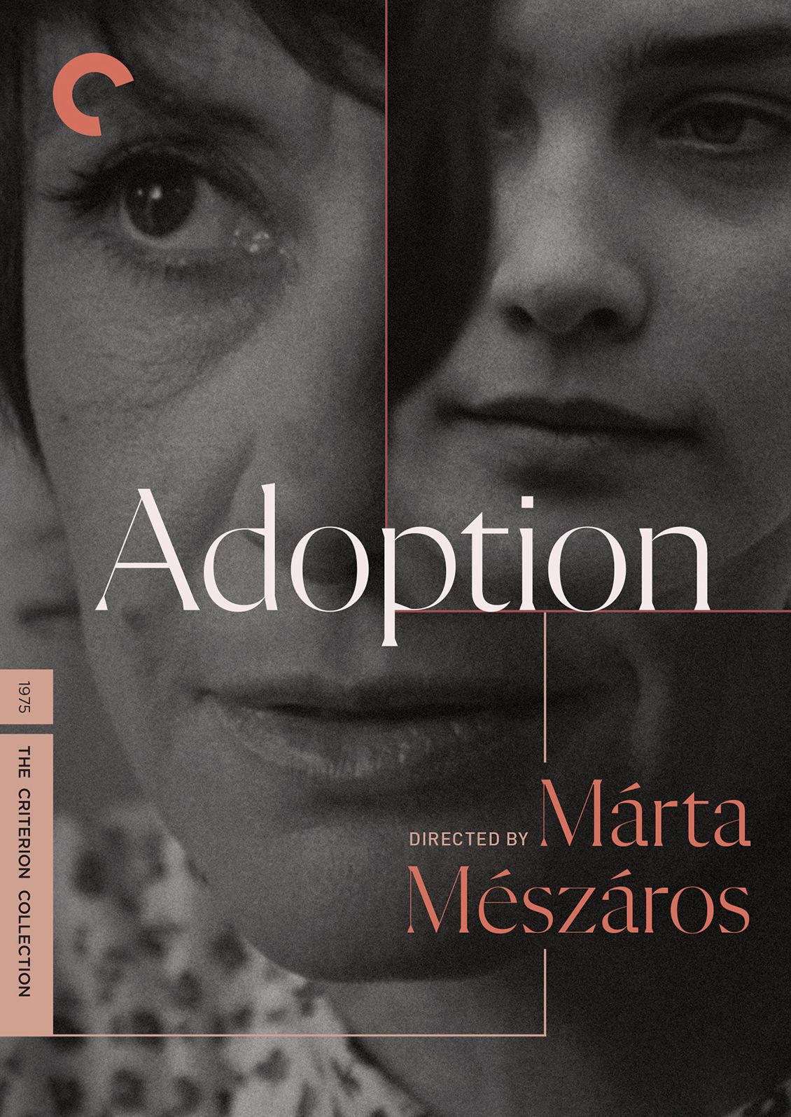 Adoption [Criterion Collection]