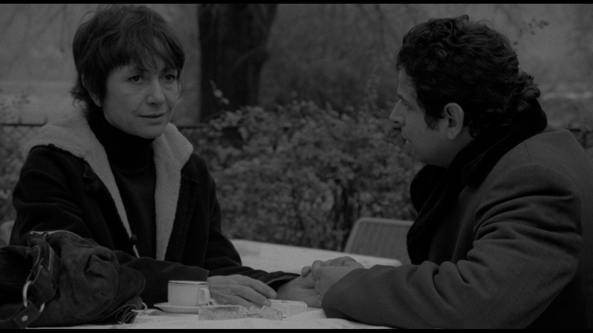 Adoption [Criterion Collection]