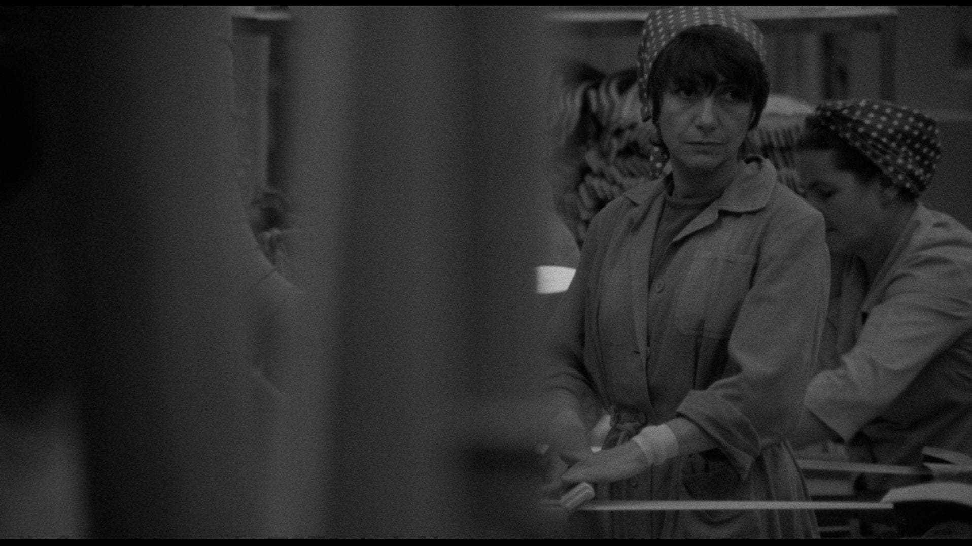 Adoption [Criterion Collection]