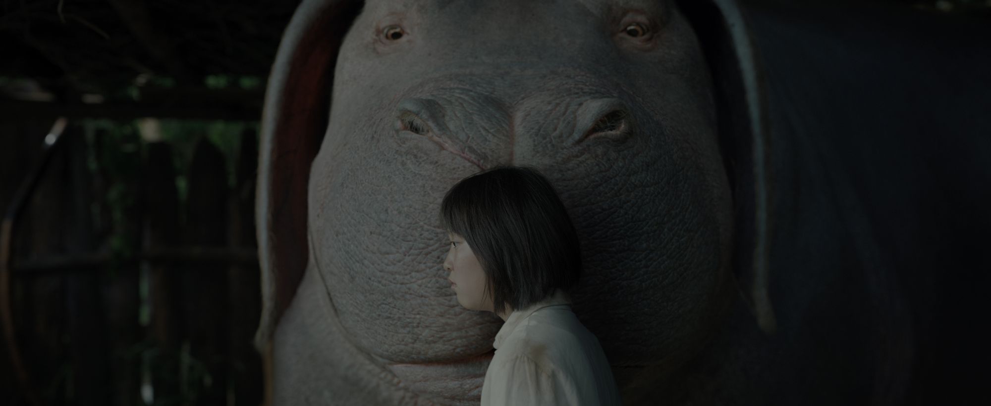 Okja [Criterion Collection]