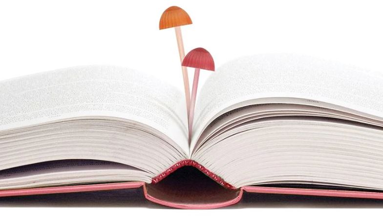Magic Sprout Bookmarks s/4