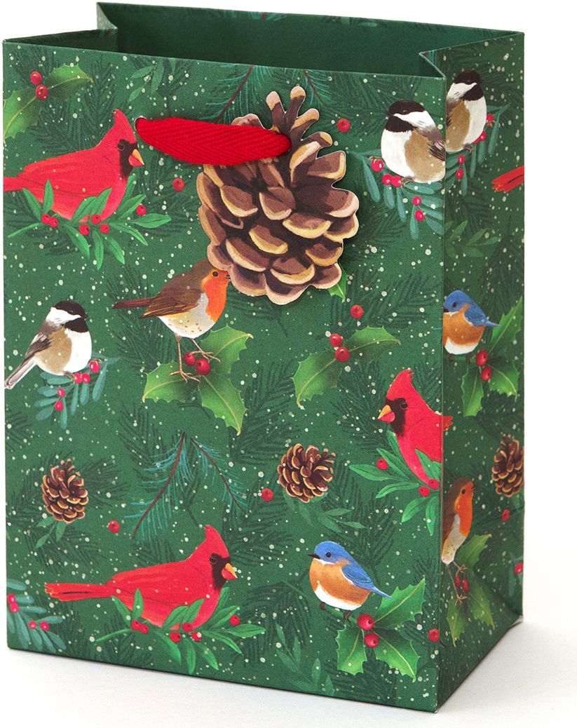 Snow Day Birds Small Gift Bag