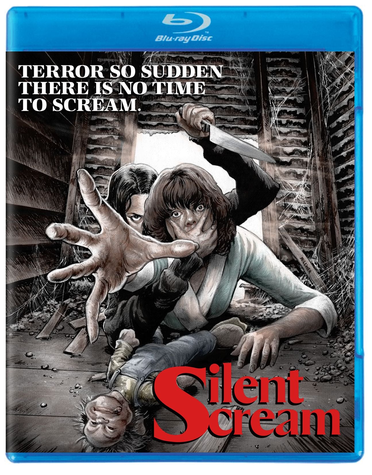 Silent Scream [Blu-ray]
