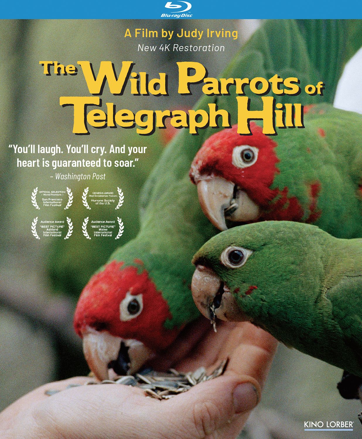 The Wild Parrots of Telegraph Hill [Blu-ray]