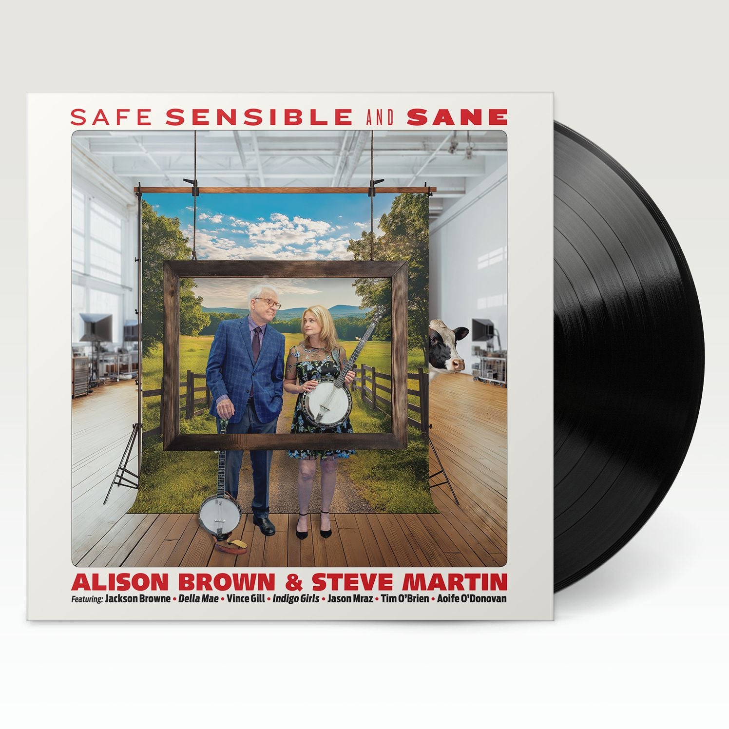 Safe, Sensible and Sane