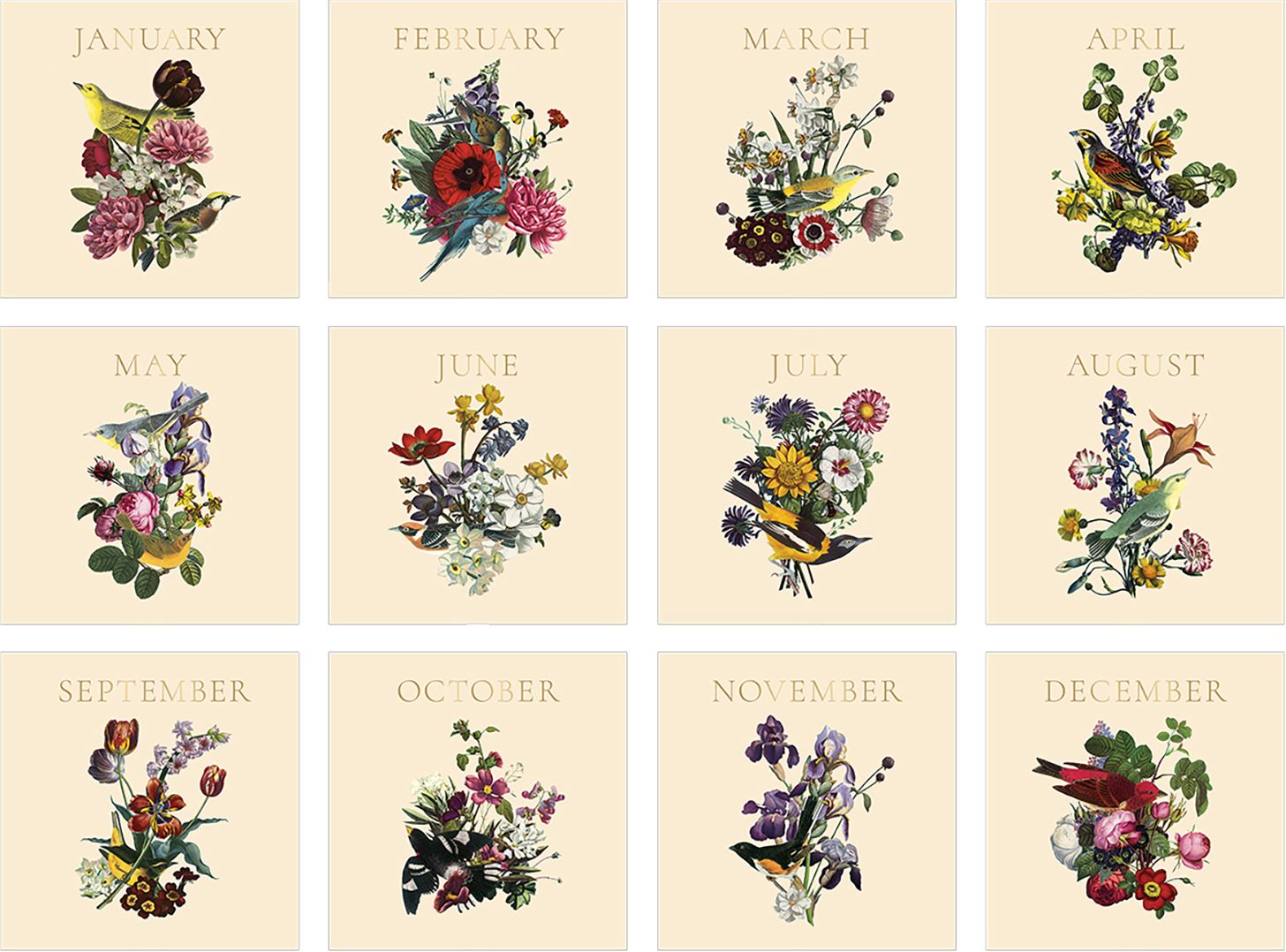 2026 Birds & Blooms Wall Calendar - Exclusive