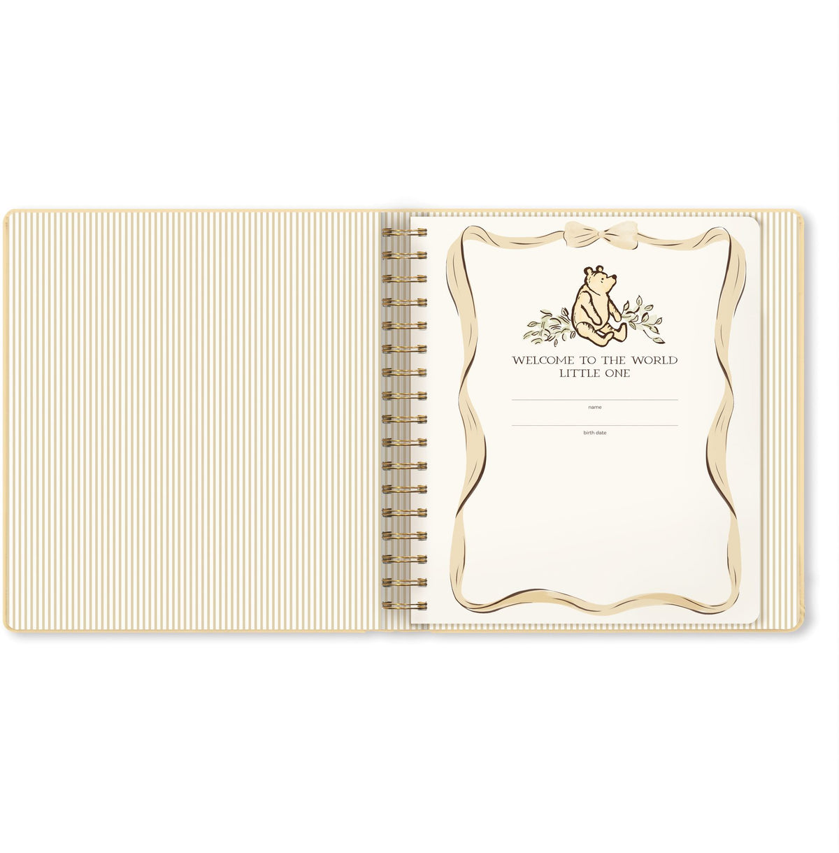 Winnie the Pooh Baby Book