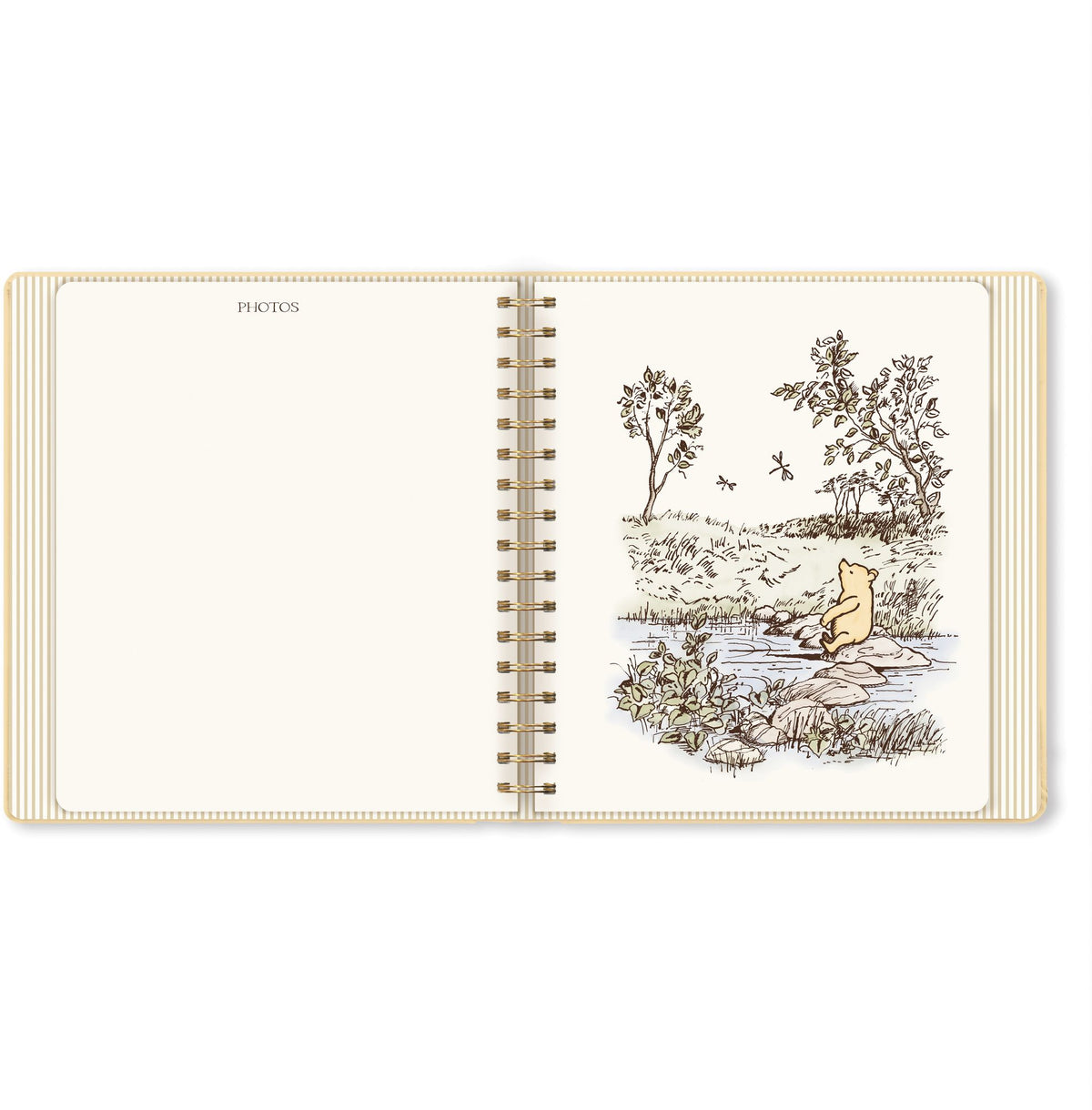 Winnie the Pooh Baby Book