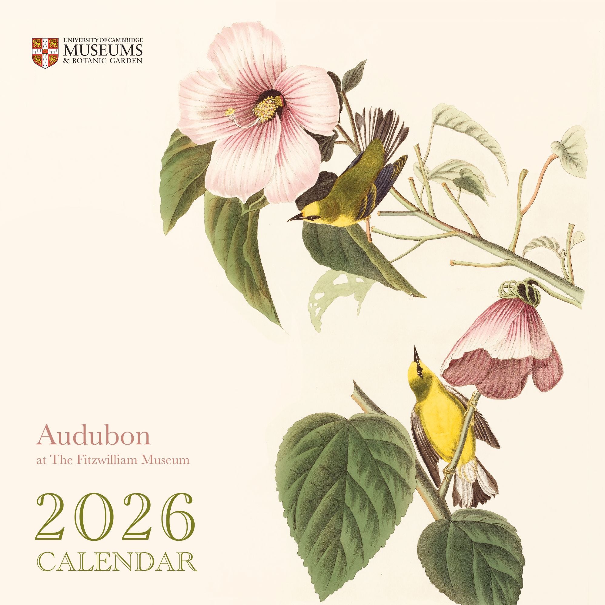 2026 Audubon 'Birds of America' Wall Calendar