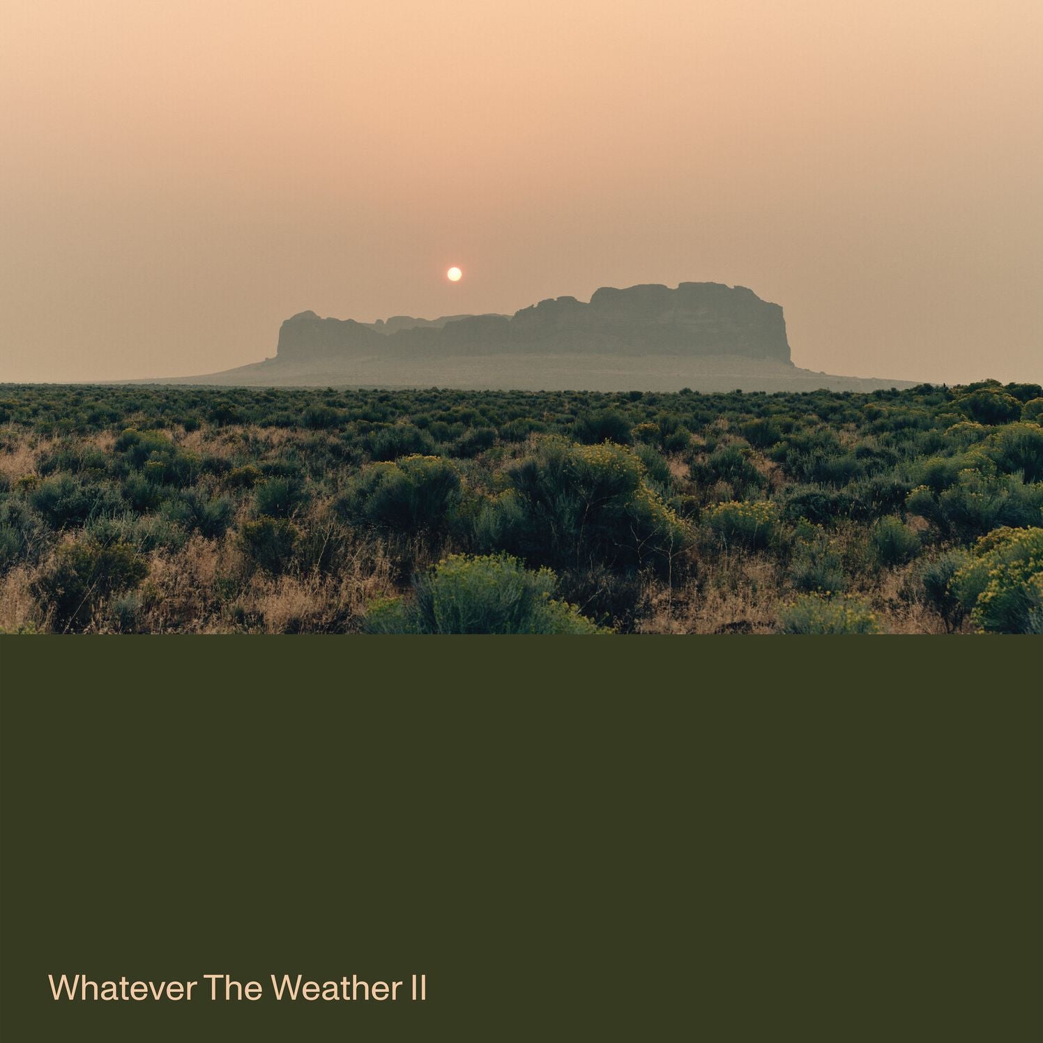 Whatever the Weather II