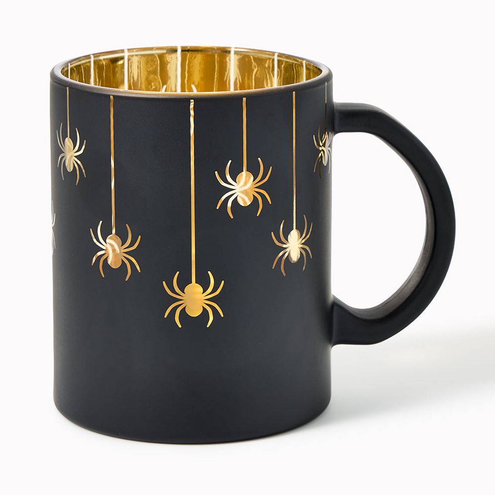 Matte Spider Mug