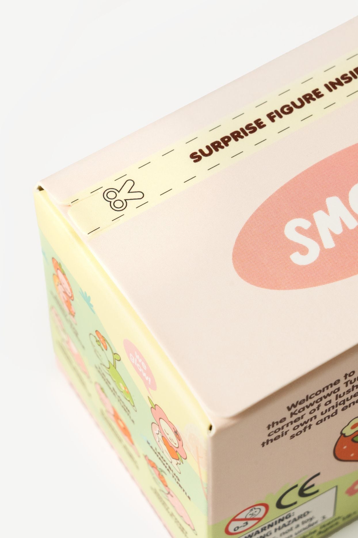 Kawaii Turtle Blind Box