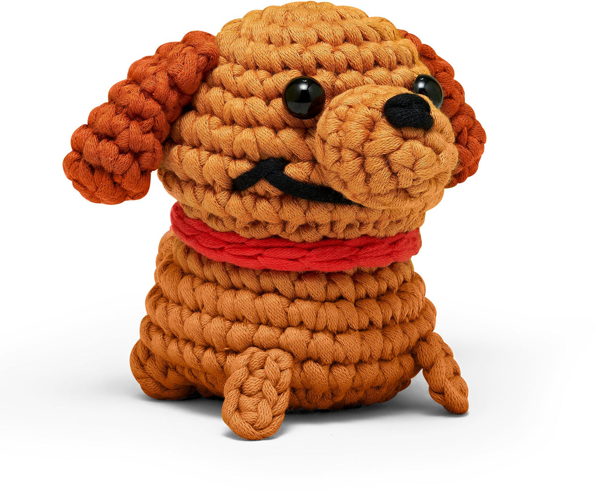 Max Learn to Crochet Kit
