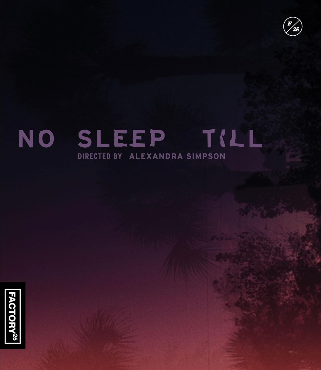 No Sleep Till [Blu-ray]