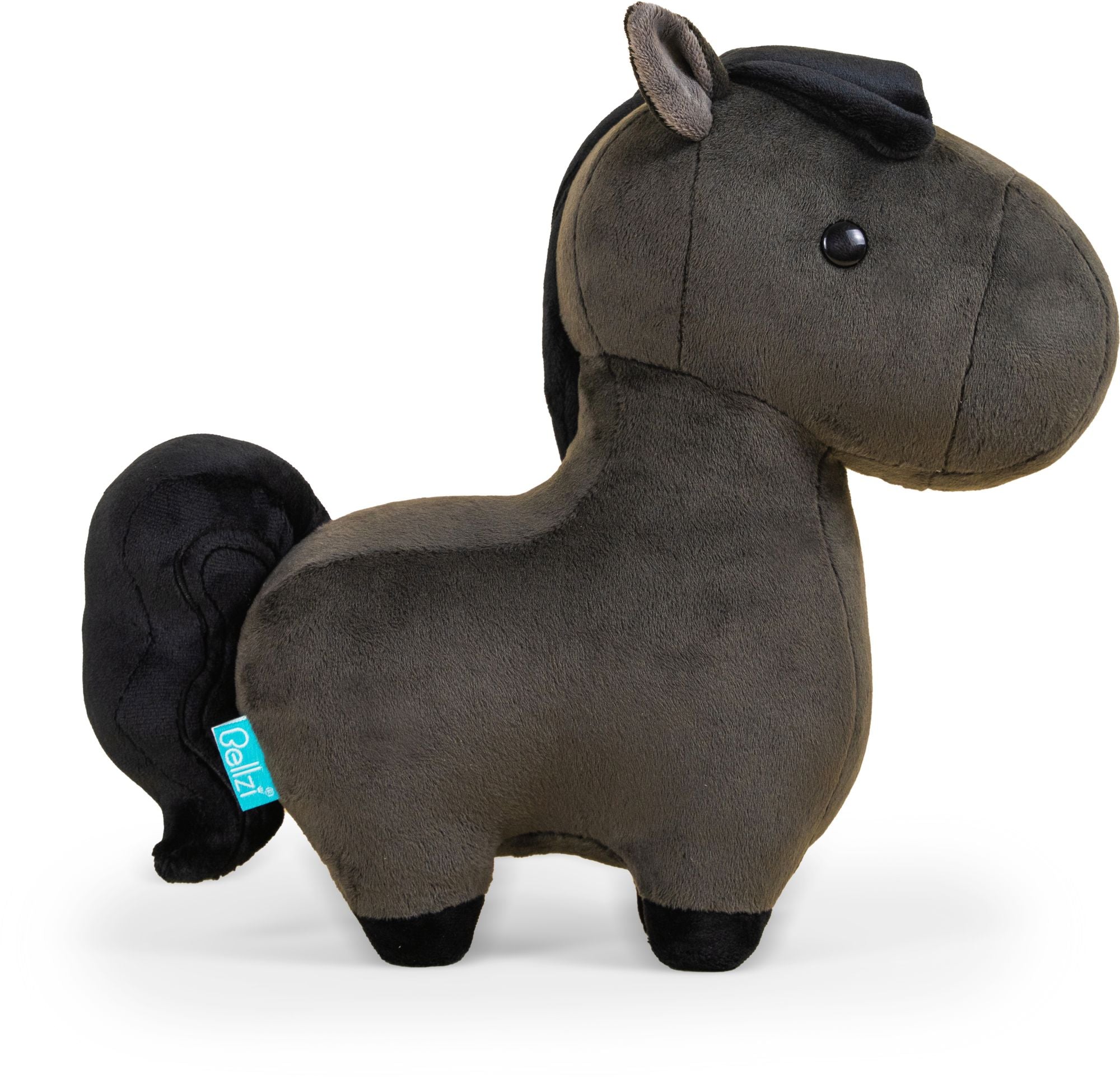 Friesian the Horse