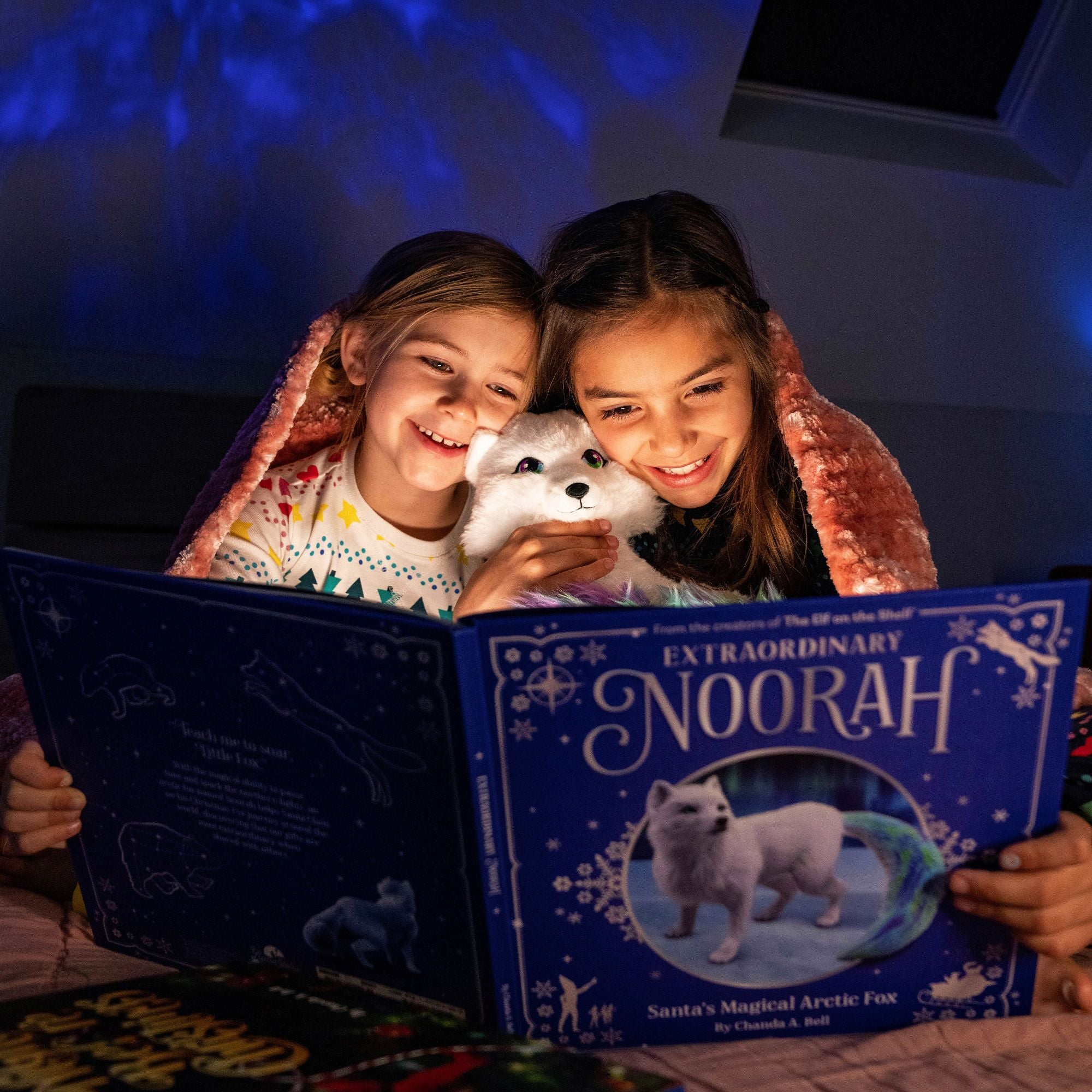 Extraordinary Noorah: Santa's Magical Arctic Fox