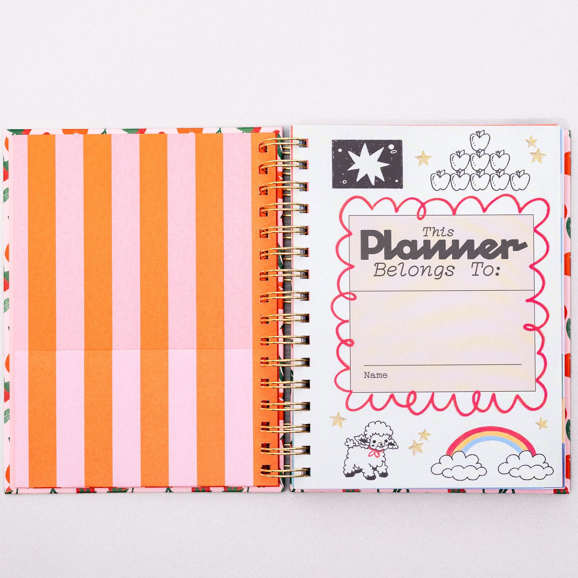 2025-2026 17 Month Medium Planner, Cherries and Strawberries