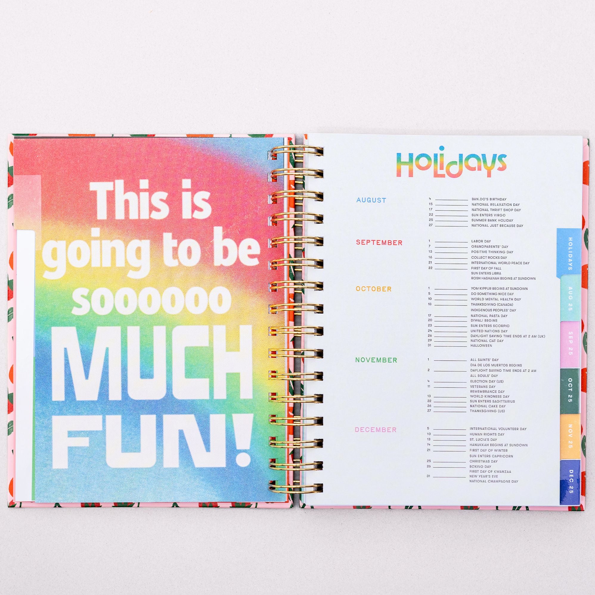 2025-2026 17 Month Medium Planner, Cherries and Strawberries