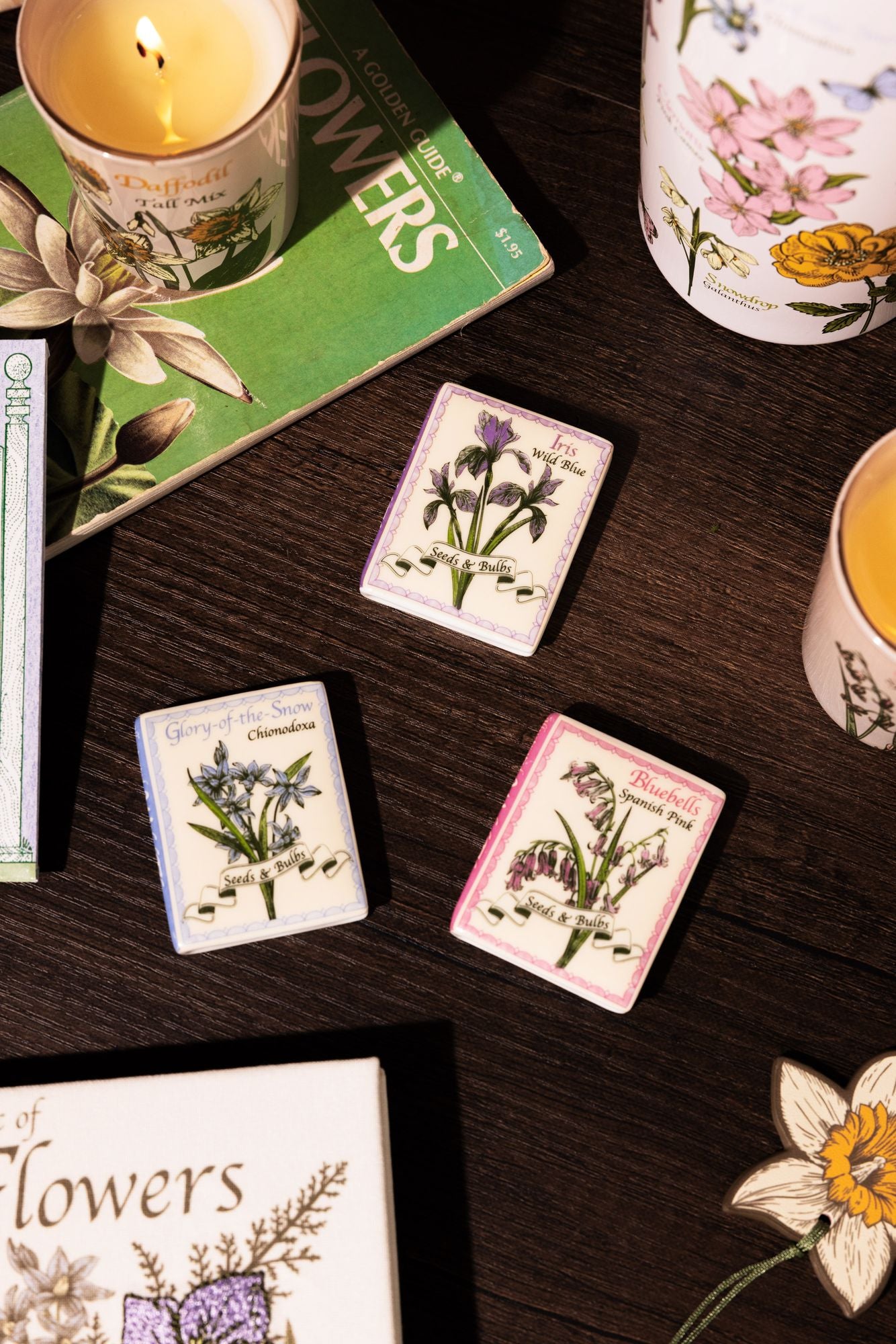 Wildflowers Book Magnet Set