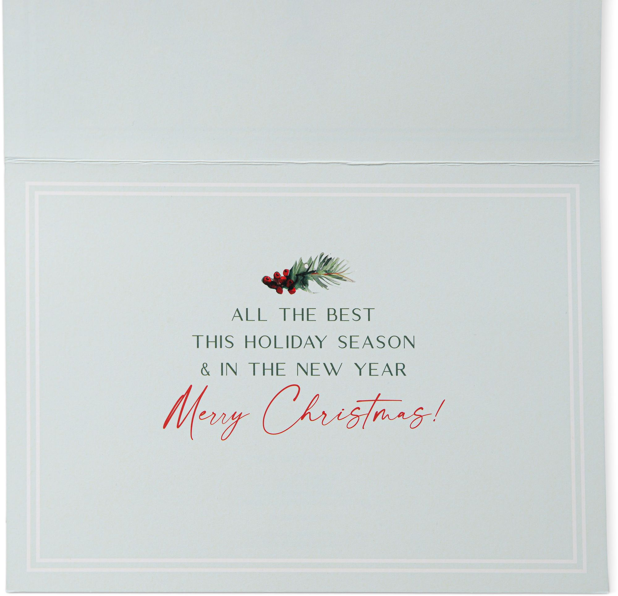 Cardinal On Pine Bough Boxed Christmas Cards Set of 20