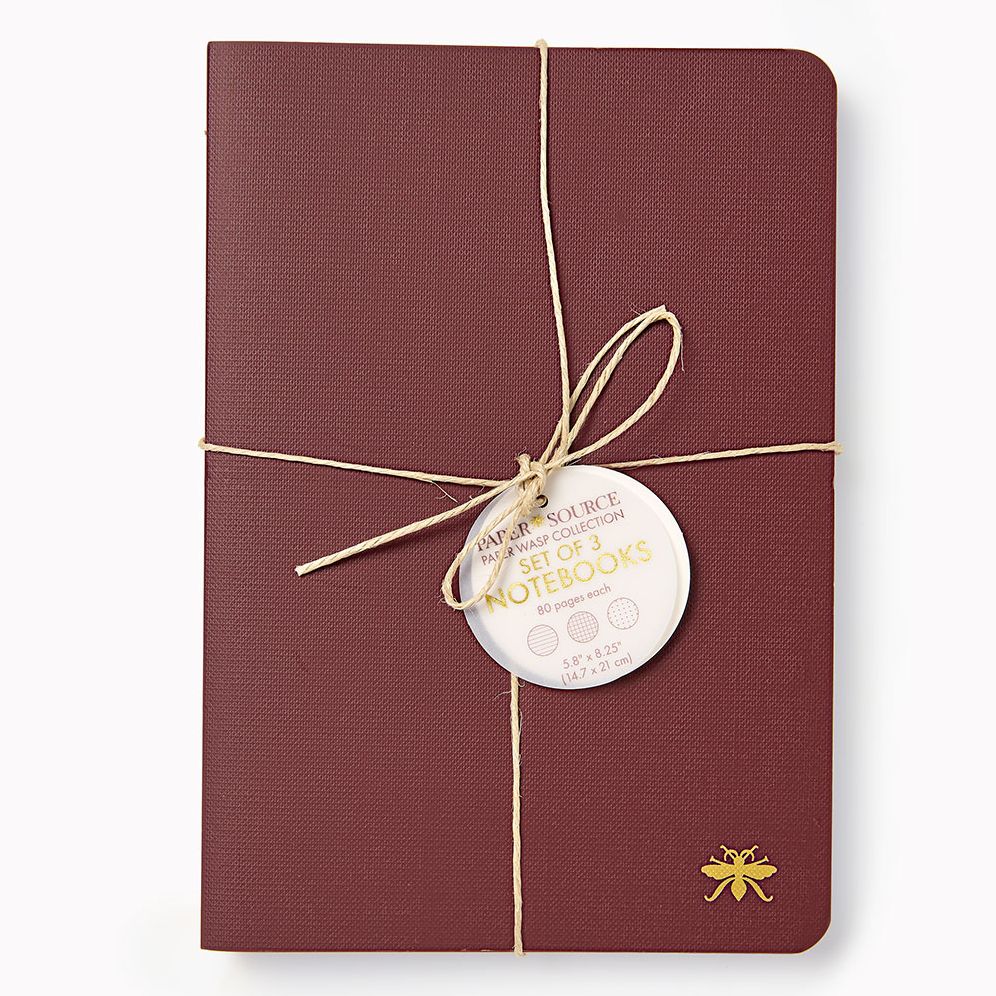 Chocolate Paper Wasp S/3 Notebooks