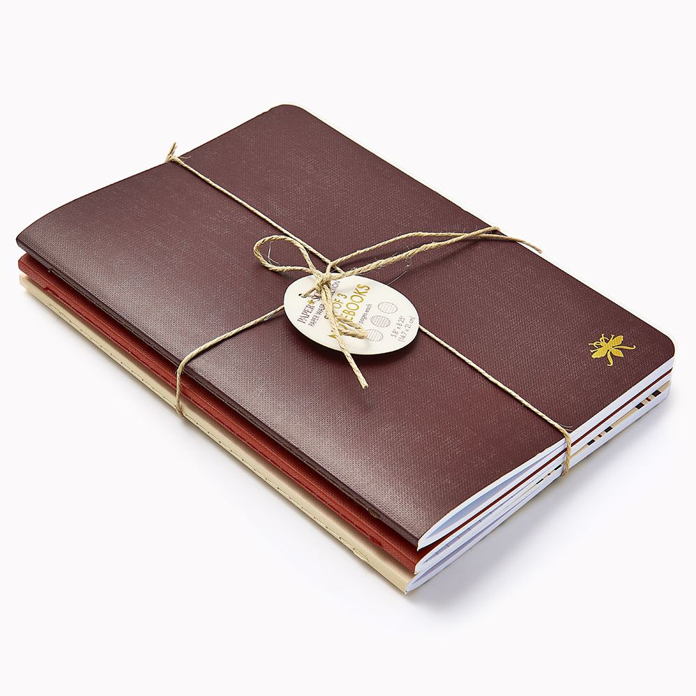 Chocolate Paper Wasp S/3 Notebooks