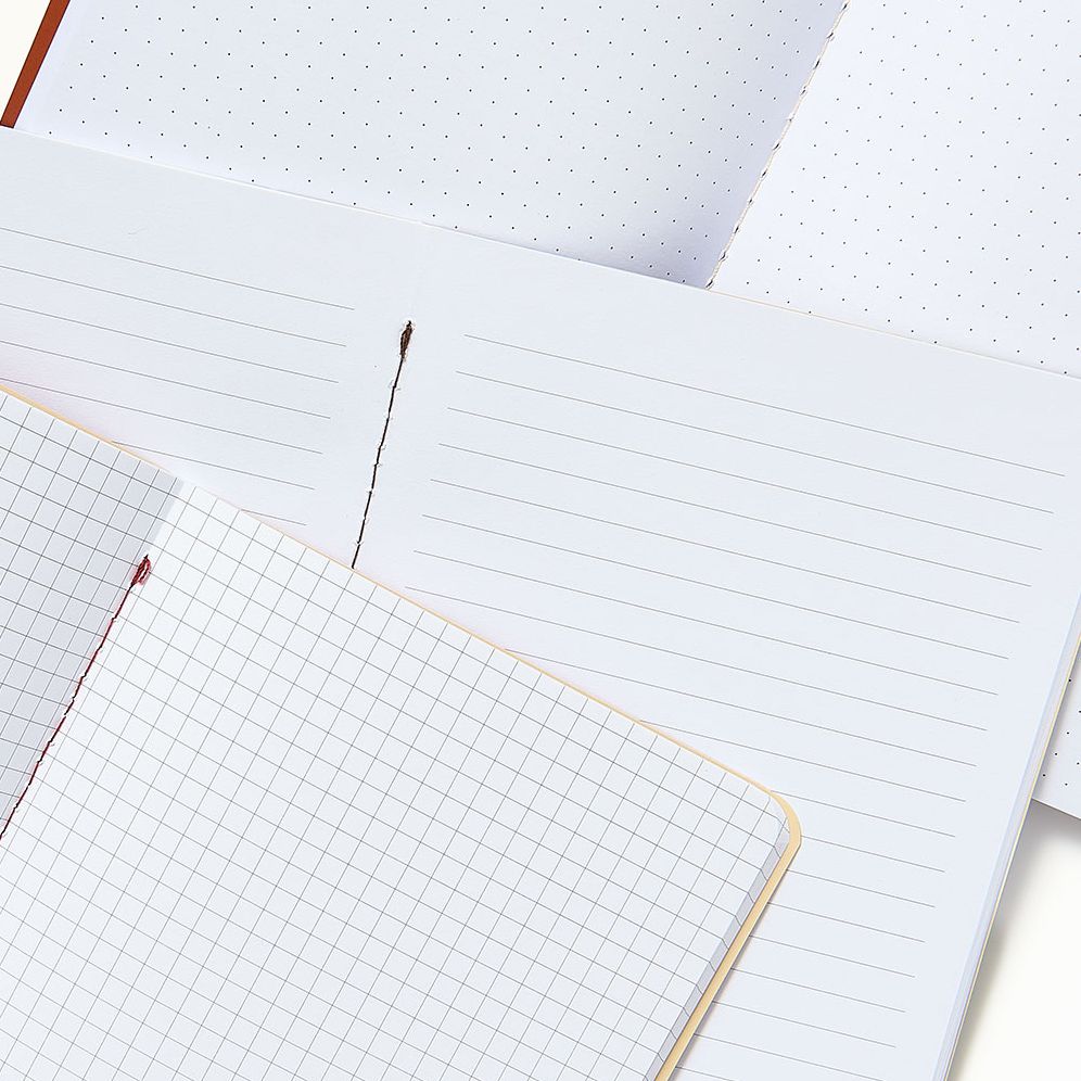 Chocolate Paper Wasp S/3 Notebooks