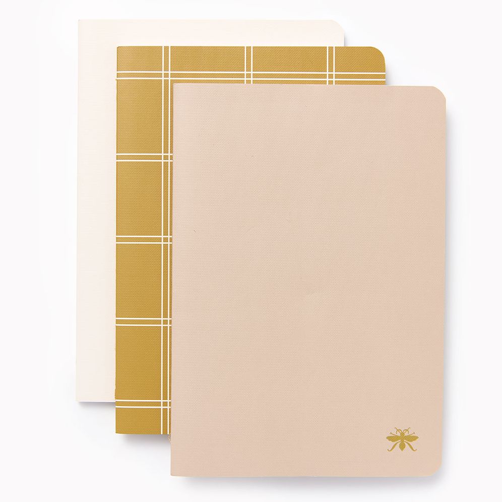 Sand Paper Wasp S/3 Notebooks