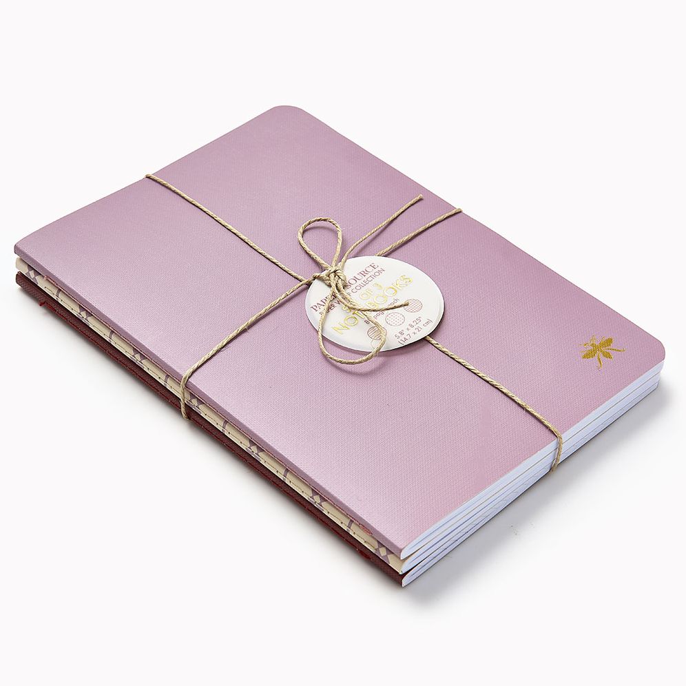 Wisteria Paper Wasp S/3 Notebooks