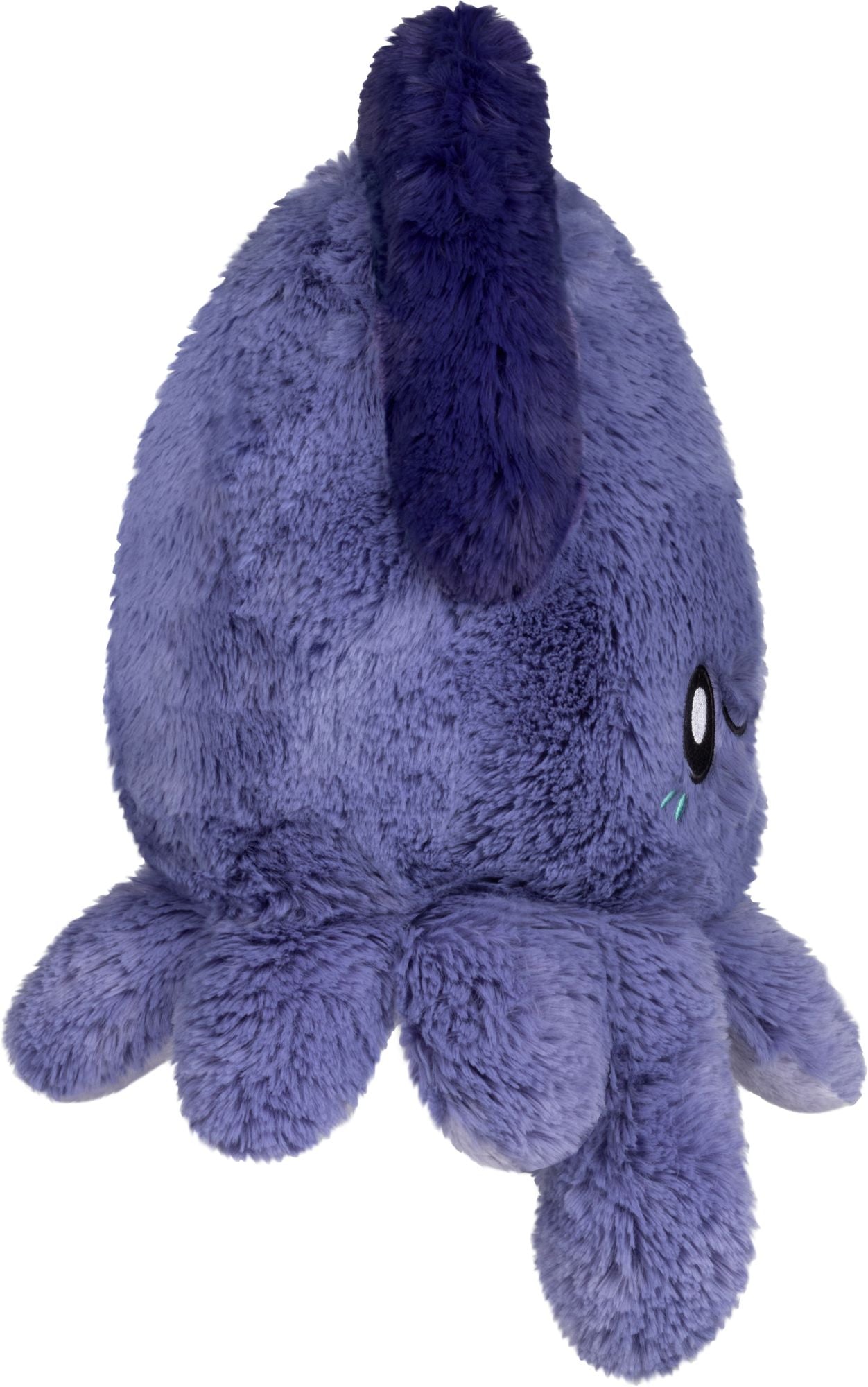 MINI SQUID