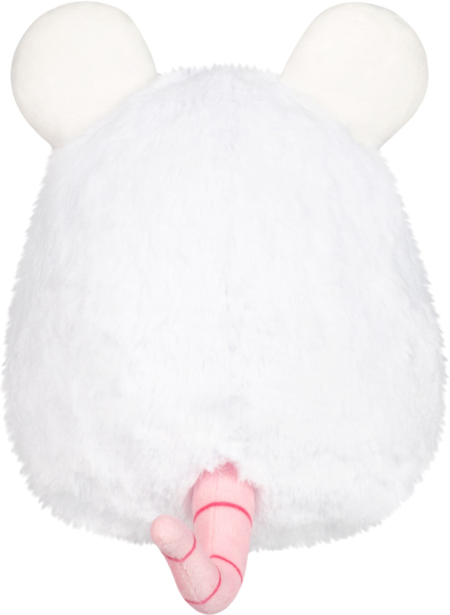 MINI WHITE RAT