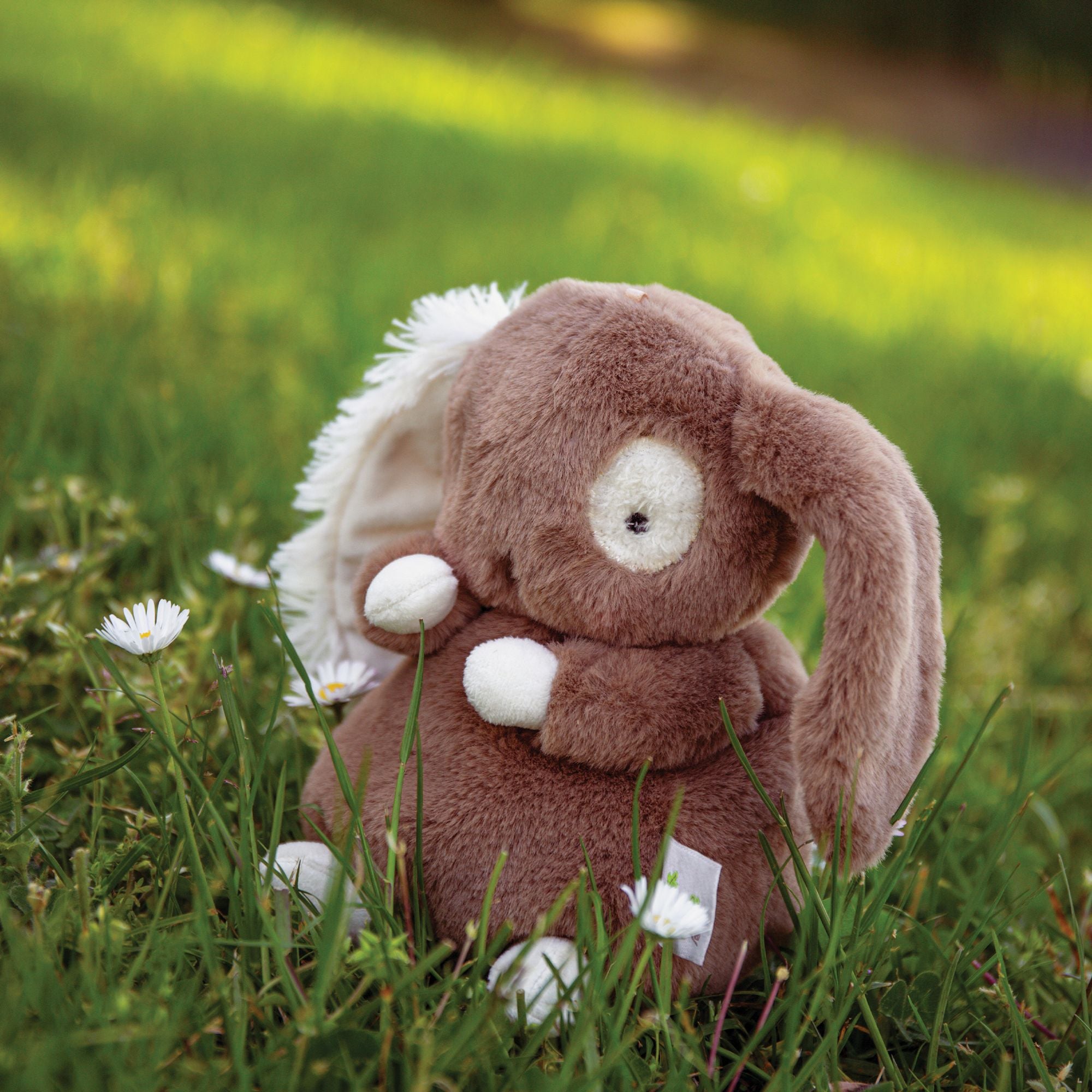 Harriet Hare