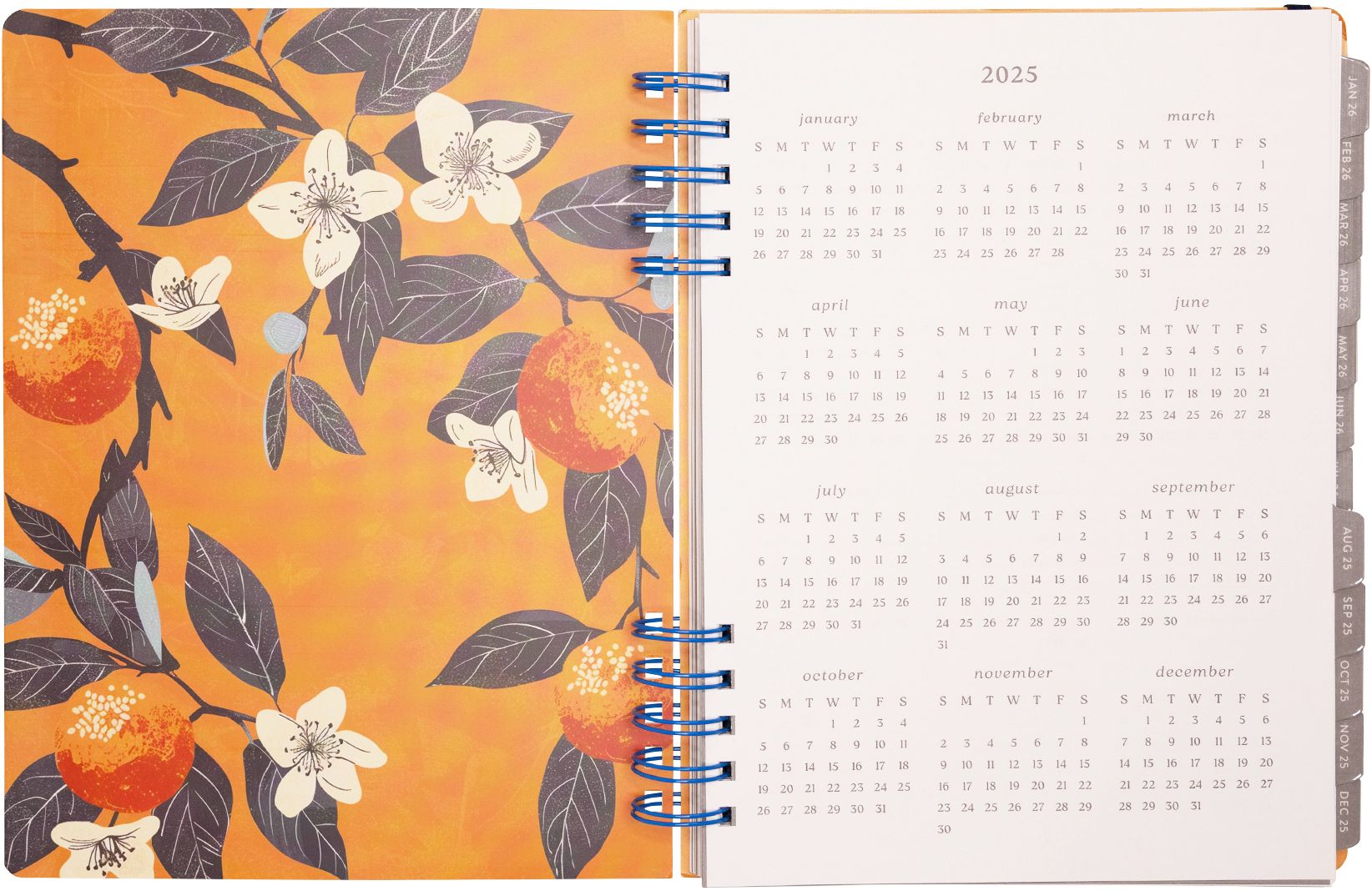 2025-2026 WN Pastel Citrus Weekly Desk Planner