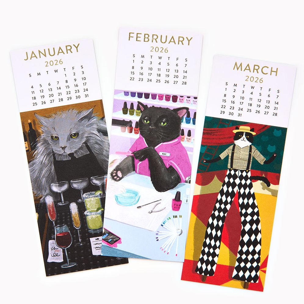 2026 Paper Source 12M Cattitude Bookmark Calendar