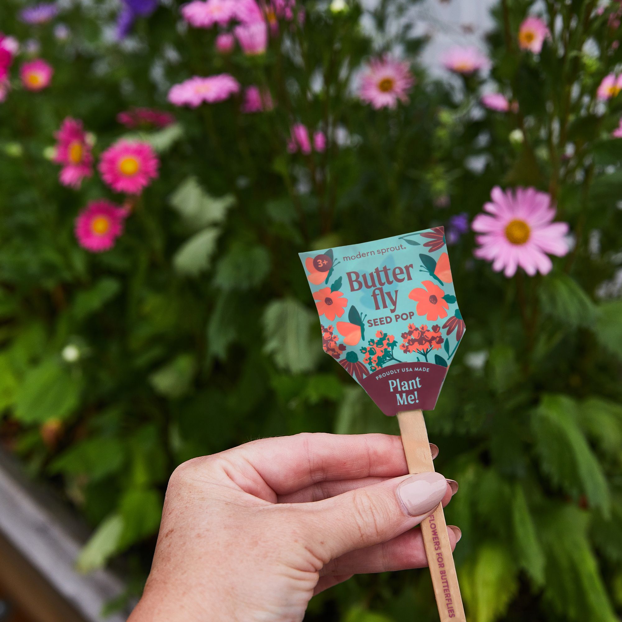 Butterfly Pollinator Seed Pop