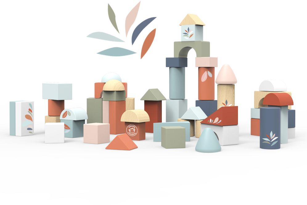 Building Blocks 50 pc set