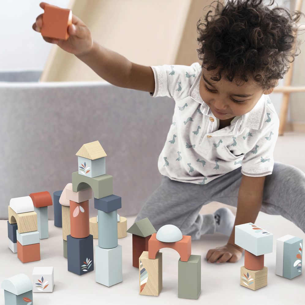 Building Blocks 50 pc set