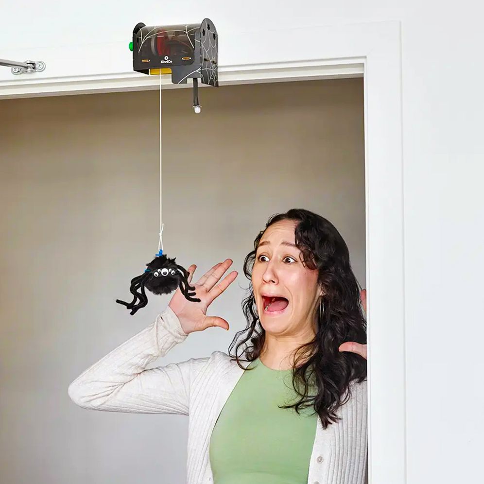 Motion Sensing Spider