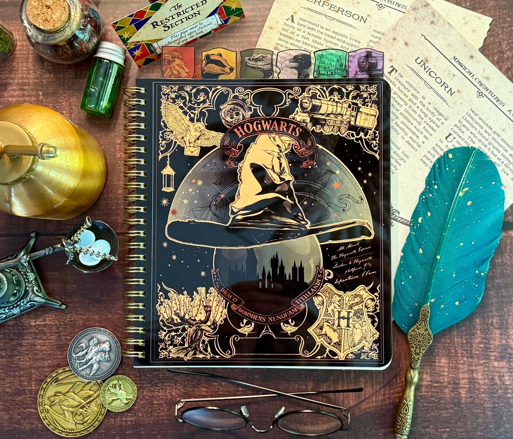 Harry Potter Sorting Hat Tabbed Journal