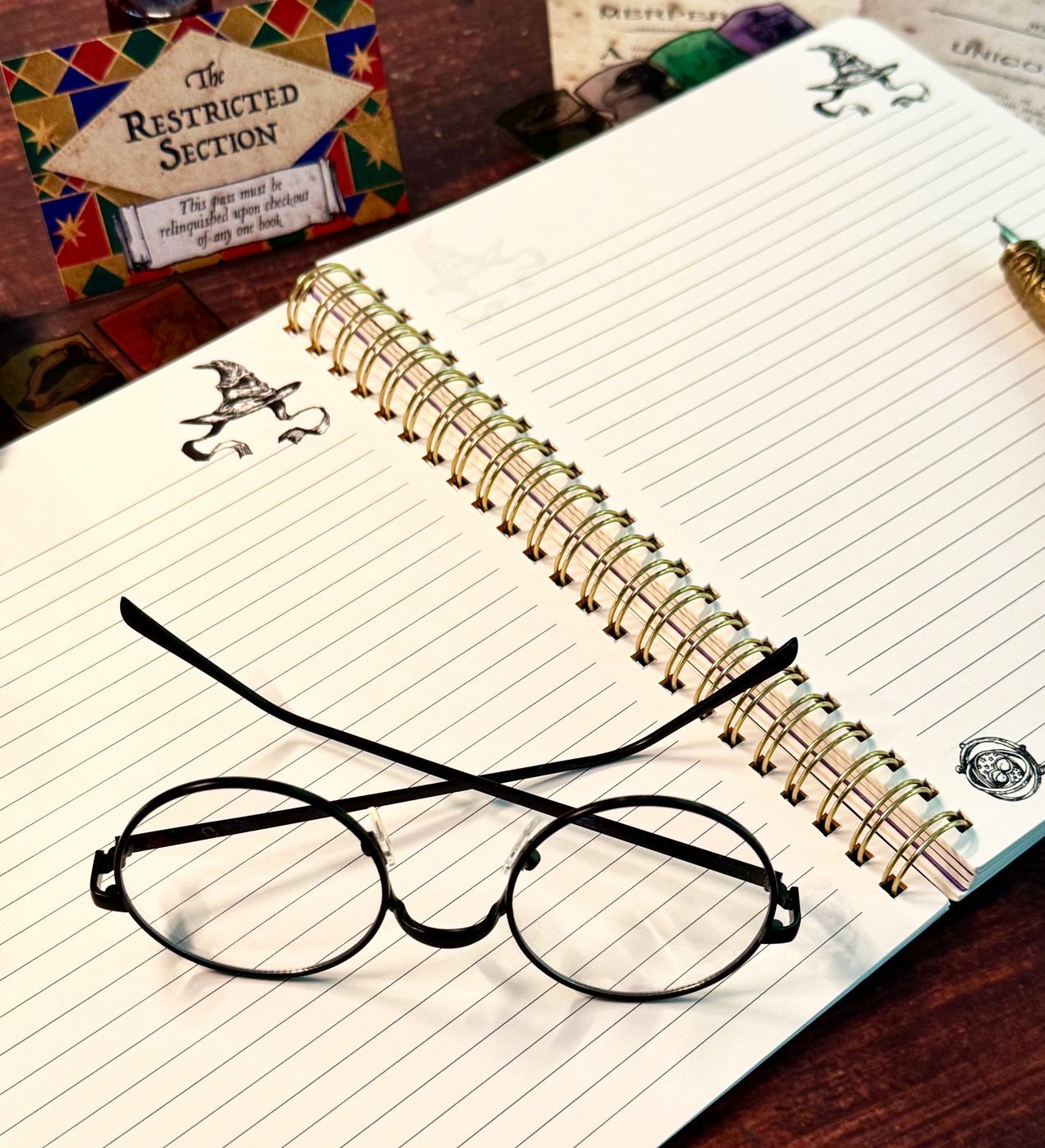 Harry Potter Sorting Hat Tabbed Journal