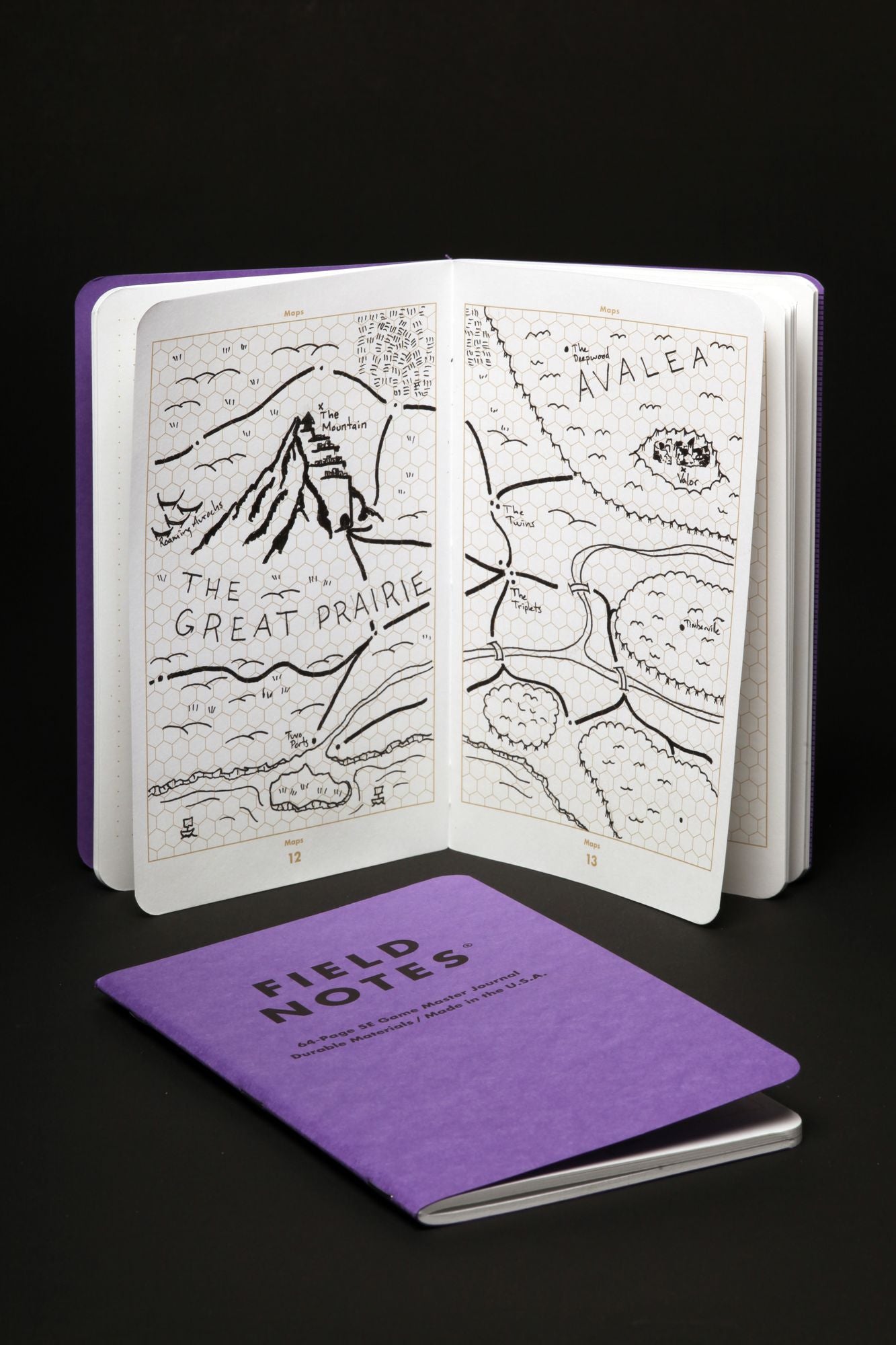 Field Notes 5E Game Master Pocket Notebook 2-pack
