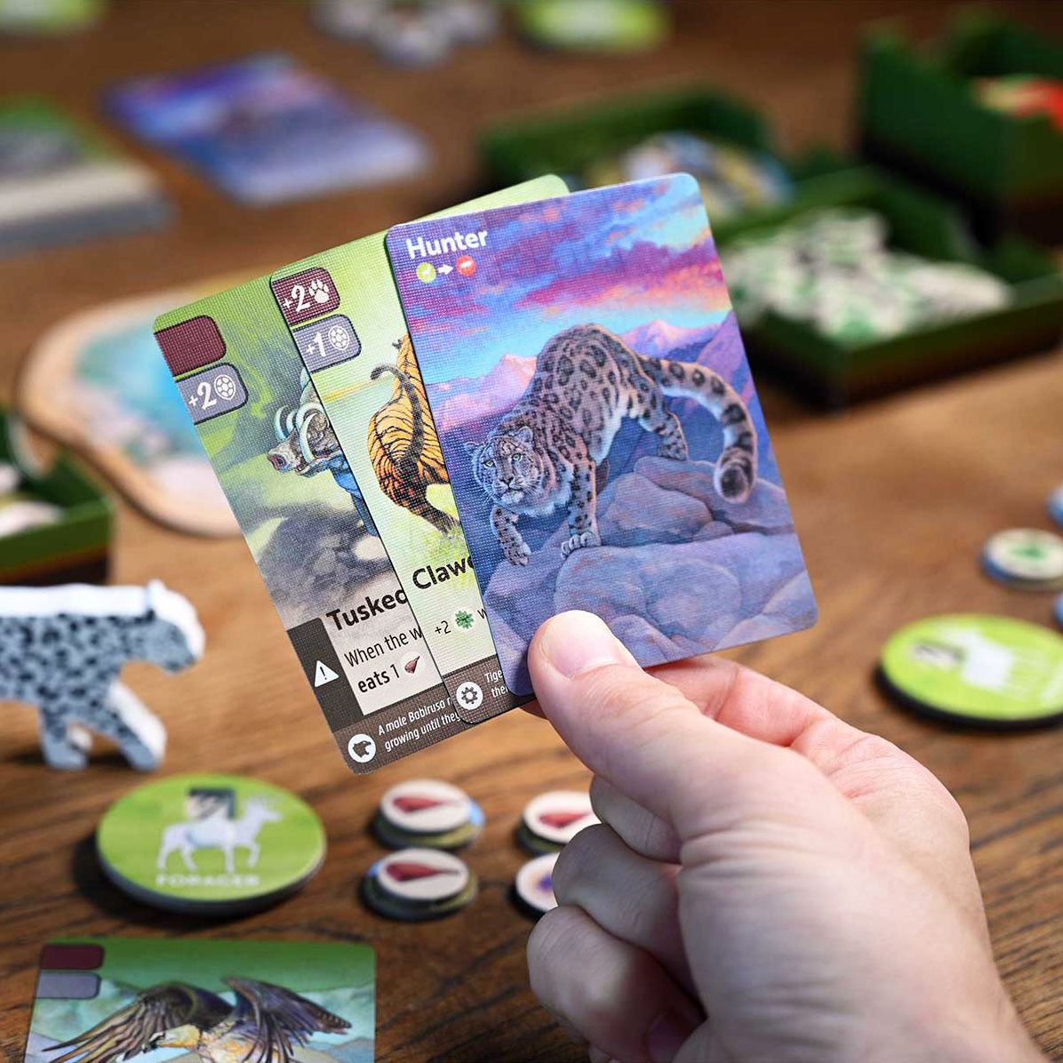Nature Board Game by Dominic Crapuchettes