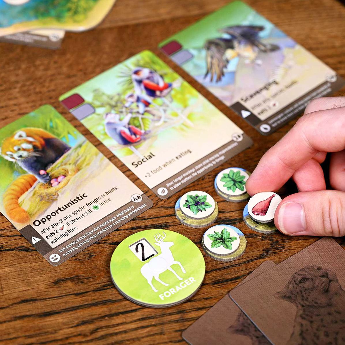 Nature Board Game by Dominic Crapuchettes
