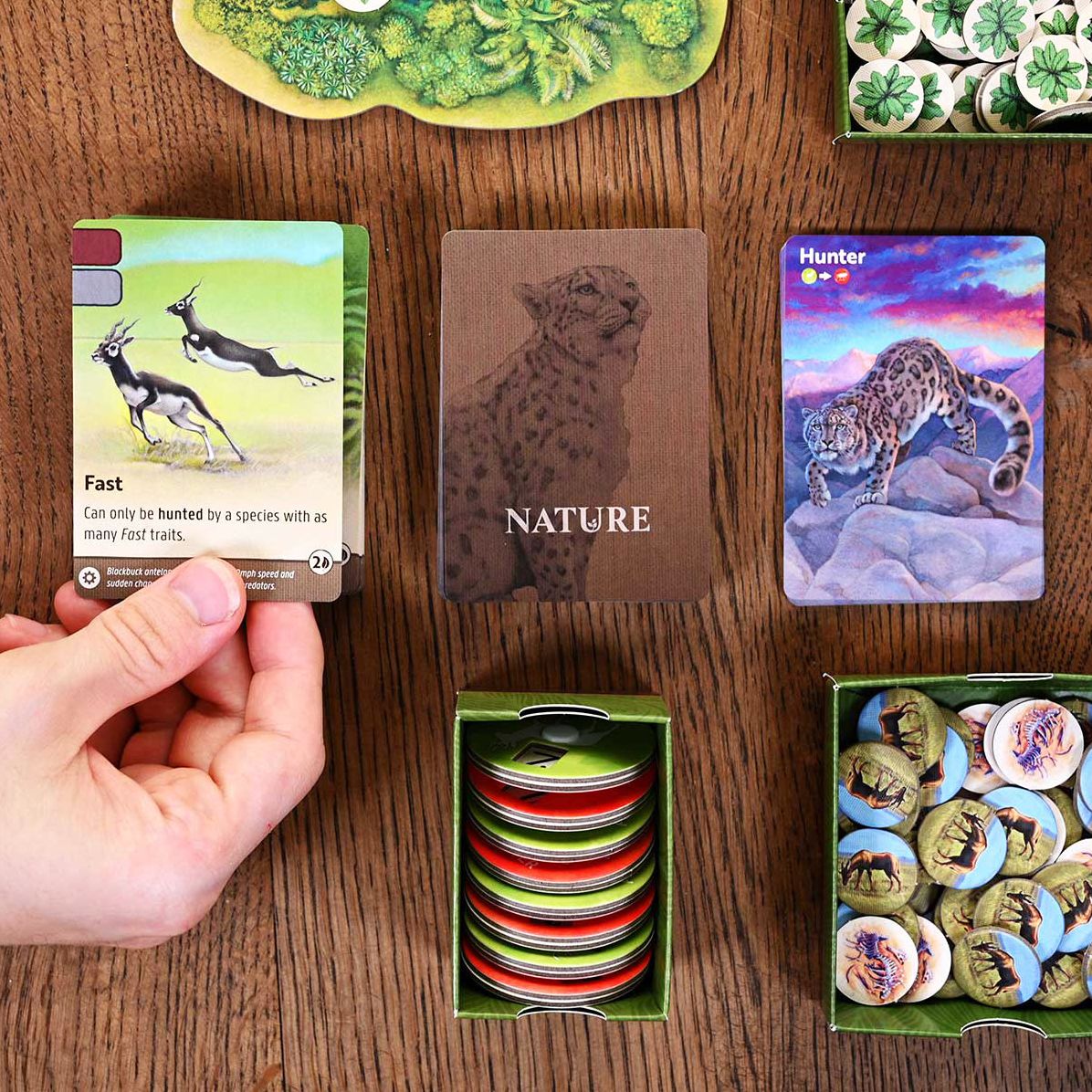 Nature Board Game by Dominic Crapuchettes